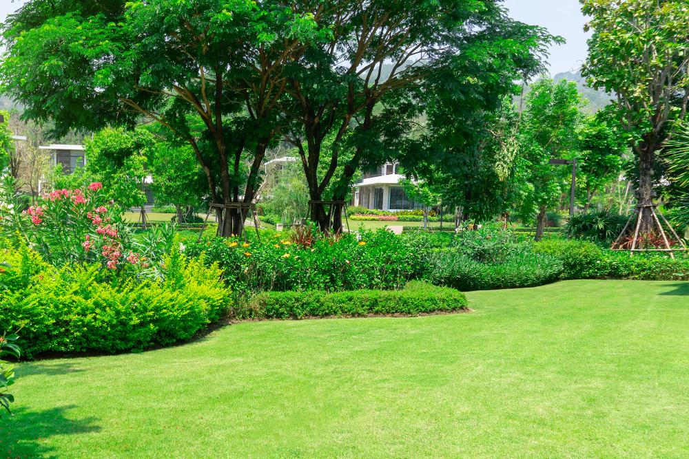 amenagement jardin et parcs