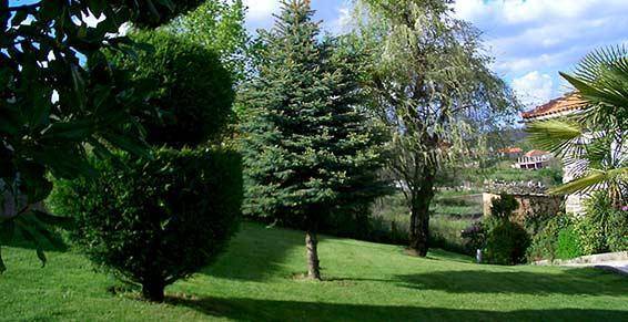arbres