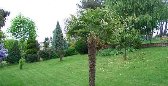 choix de plantes