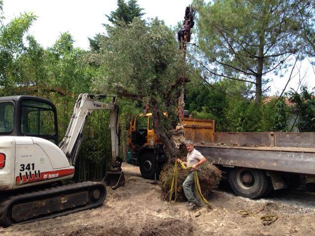 travaux de terrassement