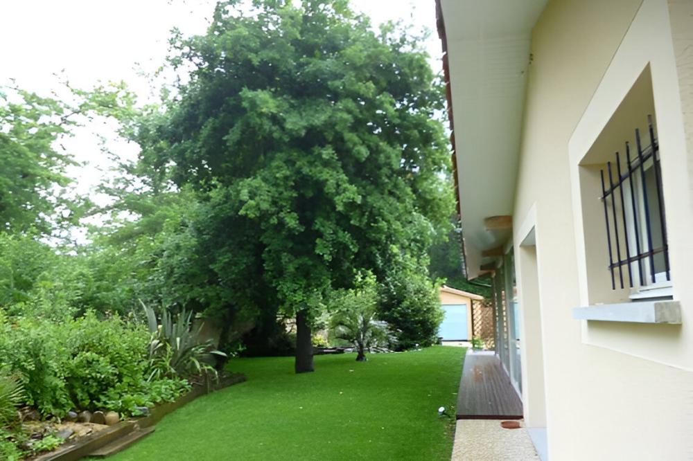 elagage (1)